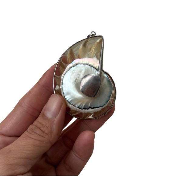 Transparent Nautilus Shell Pendant - Picture 2 of 5